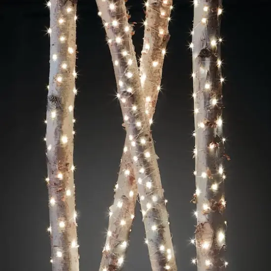 40ct. Warm White Silver Wire LED String Lights by Ashland® {7}