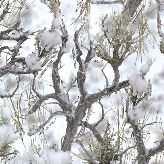 True Timber MC2 Snow Cotton Fabric {1}