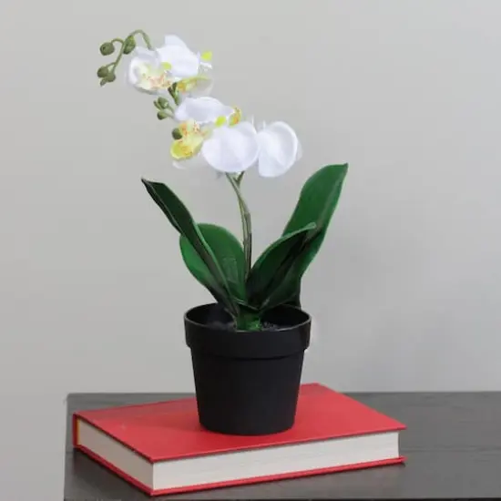 White & Yellow Artificial Tropical Potted Orchid {3}