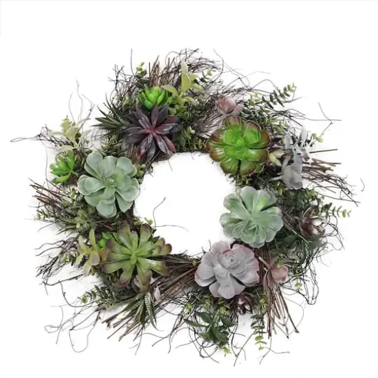 22" Green Succulent Mix & Spiral Vine Wreath {1}