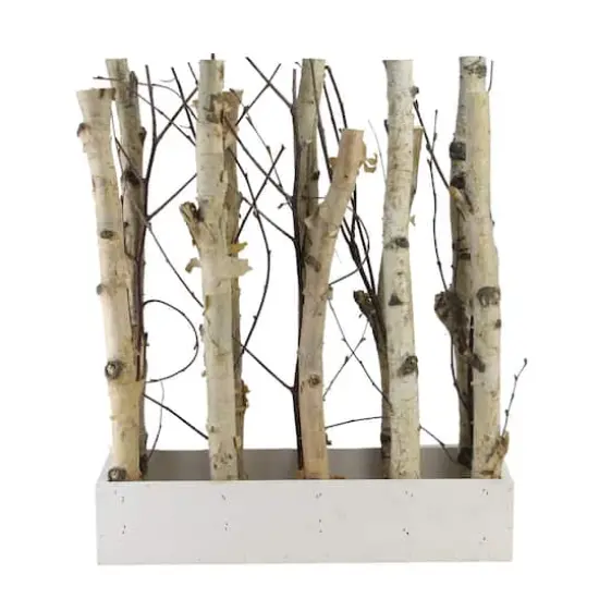 18.75" Mixed Branch Bouquet in White Wood Box {1}