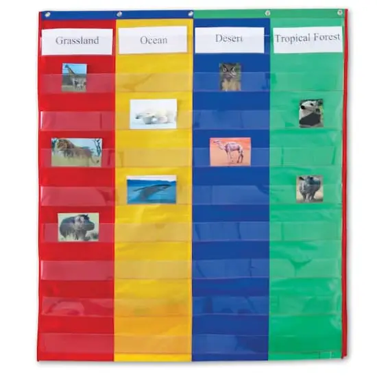 2 & 4 Column Double-Sided Pocket Chart {1}
