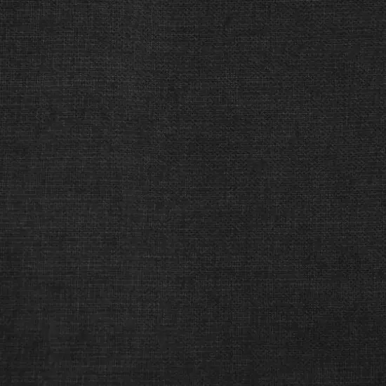 Black Cotton Organdy {1}