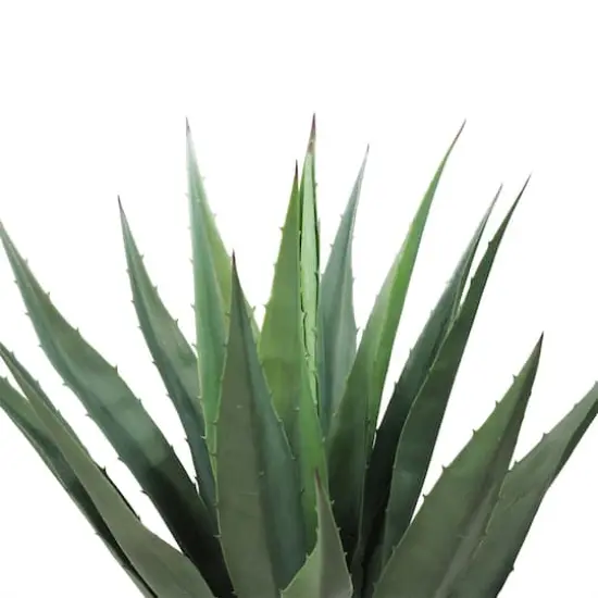 31.5" Potted Artificial Green Agave Americana Succulent {3}