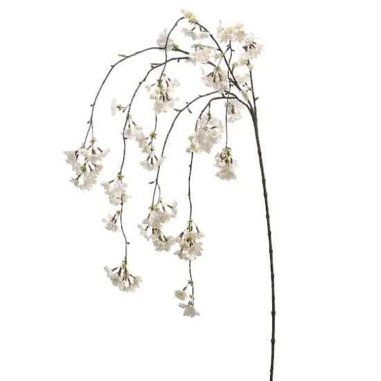 Cream Cherry Blossom Hanging Stem {1}