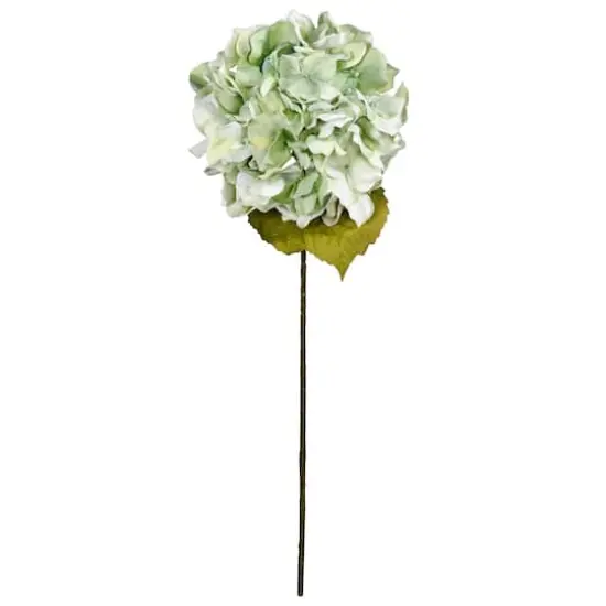 Seafoam Green Hydrangea Stem by Ashland&reg; {5}