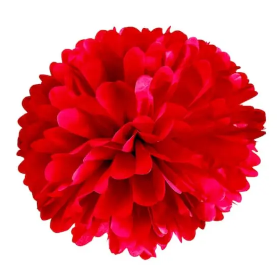 Red Paper Pom Poms By Celebrate It&trade; {5}