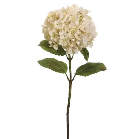 26" Hydrangea Stem, Cream {1}