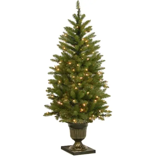 4 ft. Pre-Lit Potted Dunhill&reg; Fir Artificial Entrance Christmas Tree, Clear Lights {1}