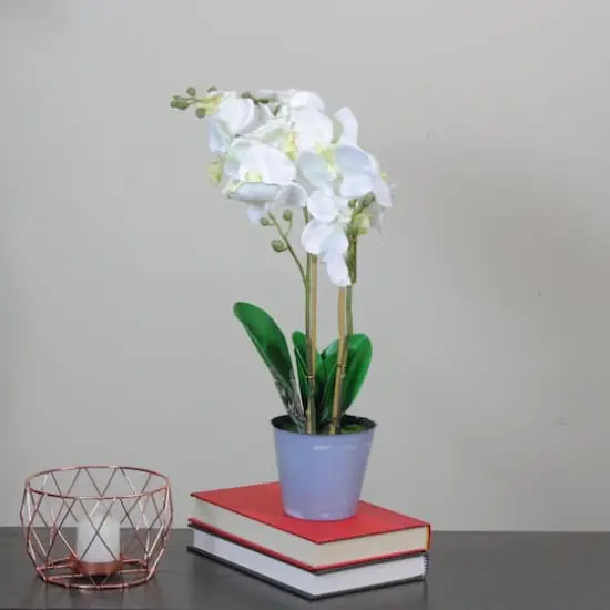 White & Sunny Yellow Artificial Blooming Orchid in Pot {3}