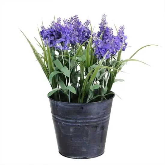 Lavender Arrangement in Distressed Blue Pot {1}