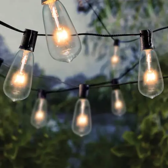 10ct. Edison ST12 Bulb String Lights by Ashland&reg; {5}