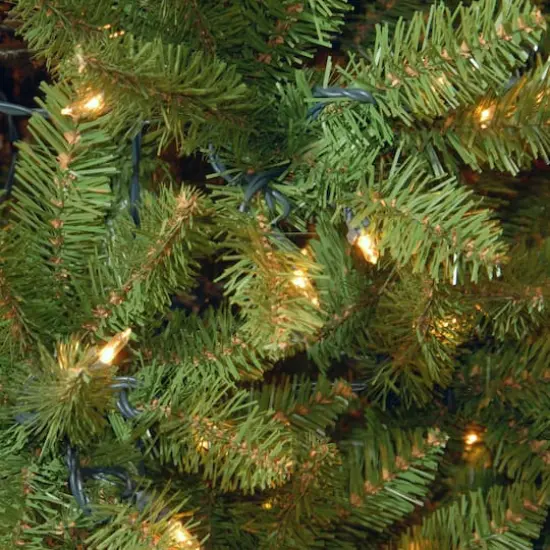 14 ft. Pre-Lit Kingswood&trade; Fir Pencil Artificial Christmas Tree, Clear Lights {3}