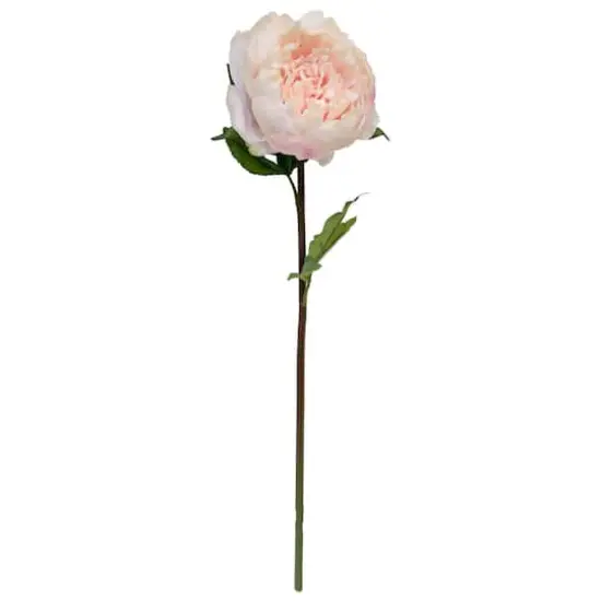 King Peony Stem By Ashland&reg; Light Pink {1}