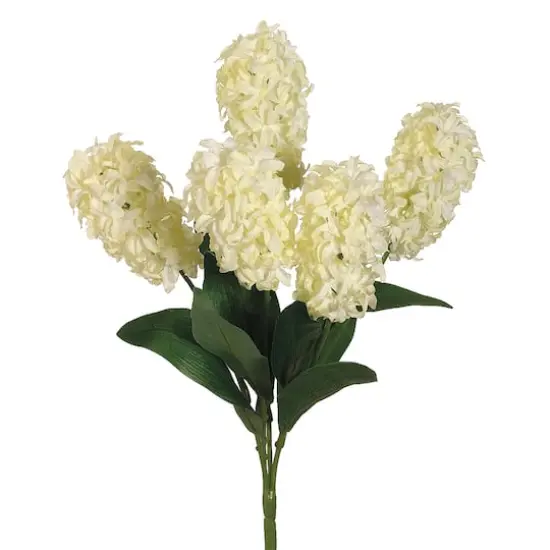 Cream Hyacinth Bush {1}