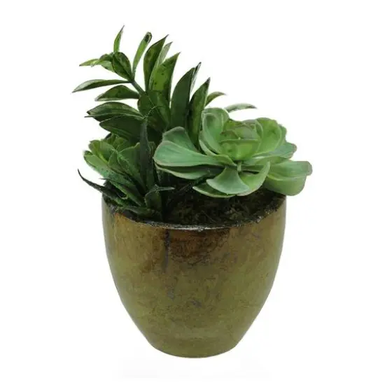 Artificial Mixed Green and Red Succulent Plants with Pot {1}
