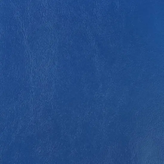 Nassimi Seaquest Royal Blue Vinyl {2}