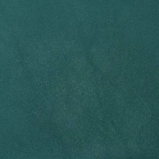 Nassimi Teal Vinyl {1}