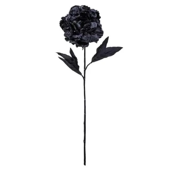 Peony Stem by Ashland&reg; Black {1}