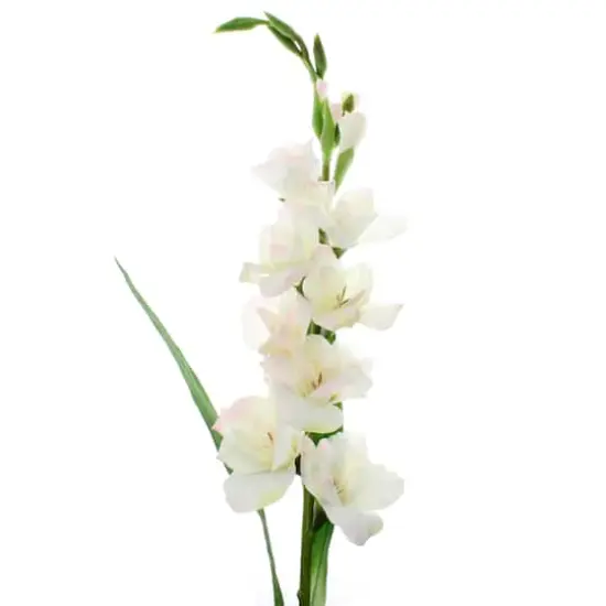 White Gladiolus Stem by Ashland&reg; {1}