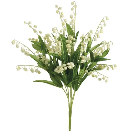 Lily of the Valley Bush {1}