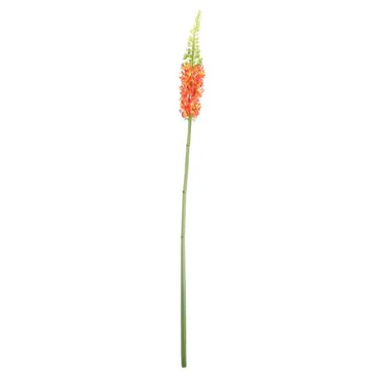 Orange and Red Foxtail Floral Crafting Stem {1}