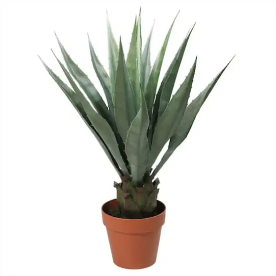 31.5" Potted Artificial Green Agave Americana Succulent {1}