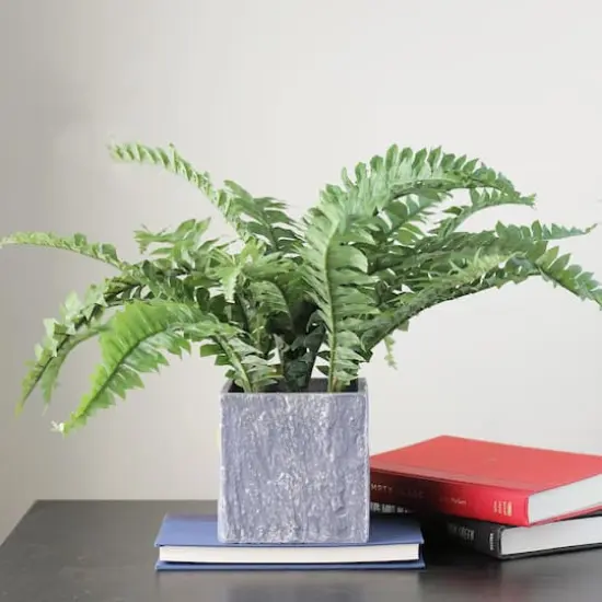13" Artificial Boston Fern In Stone Look Paper Mach&eacute; Pot {3}