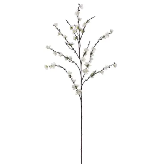 White Plum Blossom Stem {1}