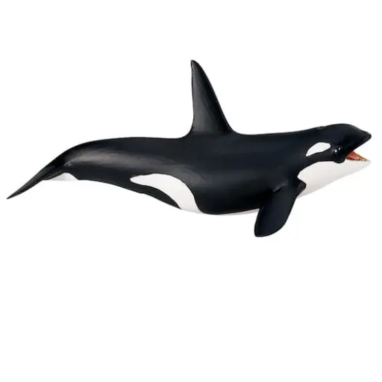 Safari Ltd&reg; Killer Whale {1}