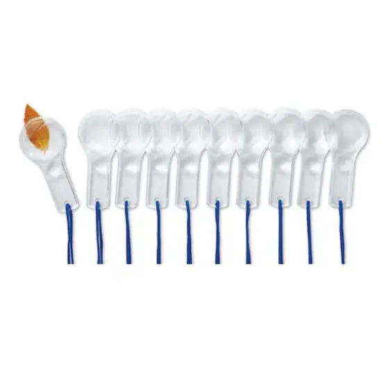 Dual Lens Magnifiers, 10 Pack {1}