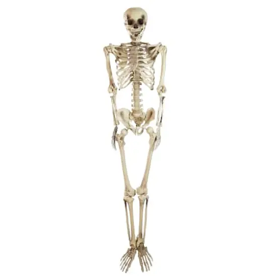 5ft. Life Size Spooky Skeleton Halloween Decoration {1}