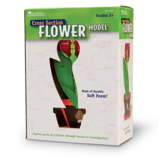 Learning Resources&reg; Cross Section Flower Model {3}
