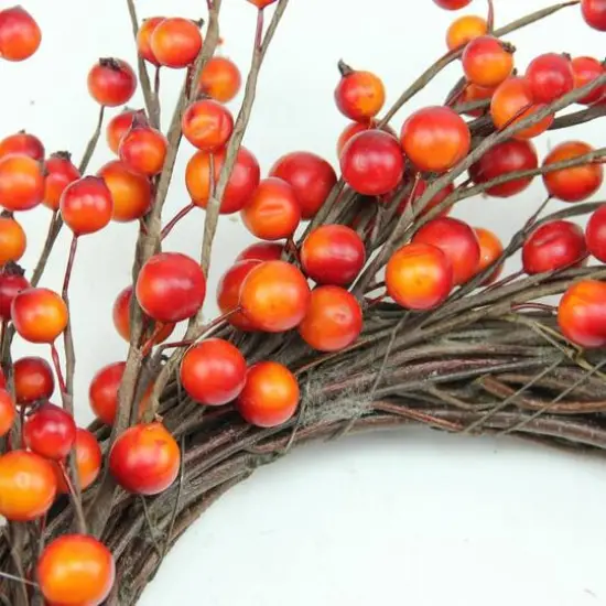 14" Unlit Autumn Harvest Artificial Orange & Red Berry Wreath {3}