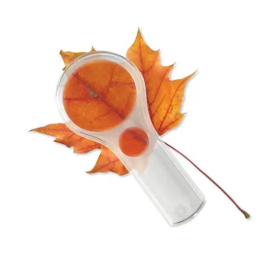 Dual Lens Magnifiers, 10 Pack {3}