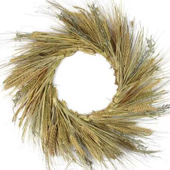 22" Unlit Autumn Harvest Wheat Grass & Grapevine Thanksgiving Fall Wreath {1}
