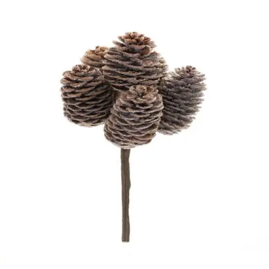 Brown Pinecone Stem Bundle, 12ct. {3}