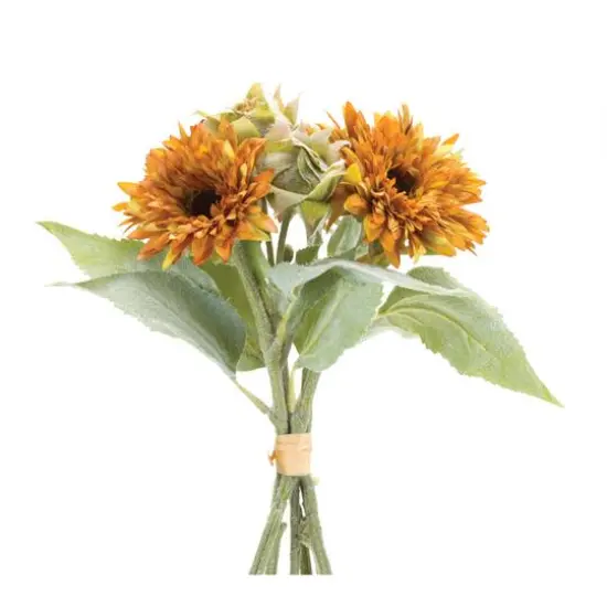Orange Fall Mum Floral Bundles, 2ct. {3}