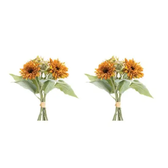 Orange Fall Mum Floral Bundles, 2ct. {1}
