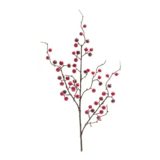 Iced Berry Twig Spray, 12ct. {4}