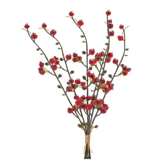 Red & Brown Winter Berry Twig Bundle, 6ct. {4}