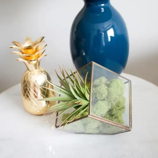 Ashland&reg; Reindeer Moss Spring Green {7}