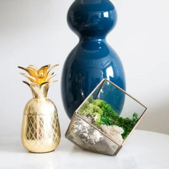 Moss Variety Pack by Ashland&reg; {3}