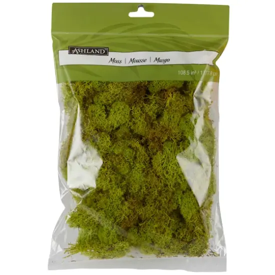 Ashland&reg; Reindeer Moss Spring Green {2}