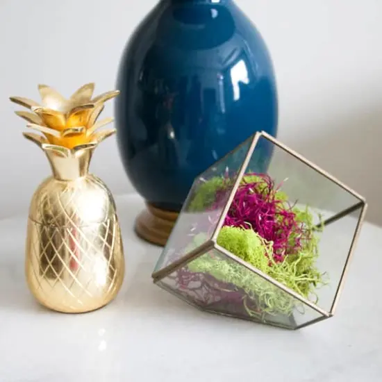 Red Moss Variety Pack by Ashland&reg; {3}