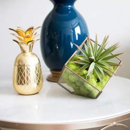 Ashland&reg; Reindeer Moss Chartreuse {4}