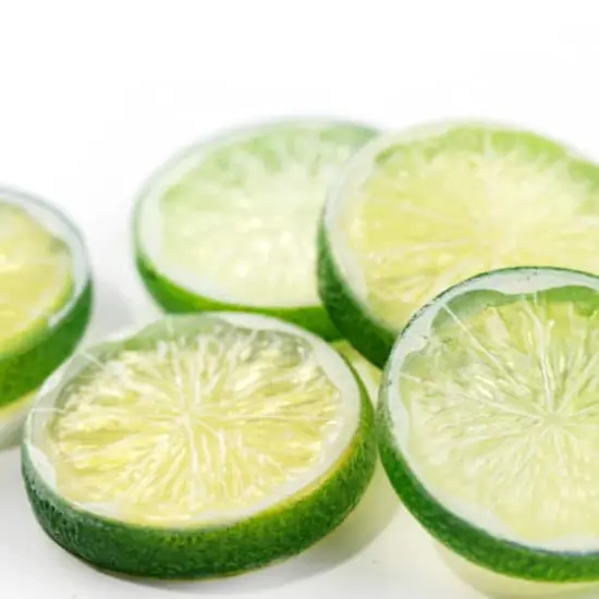 Assorted Fruit Slice D&eacute;cor Accent by Ashland&reg; {5}