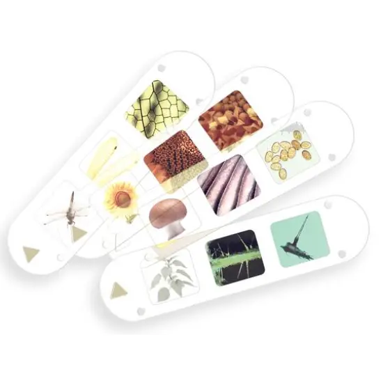 Thames & Kosmos Big & Fun Microscope Kit {5}