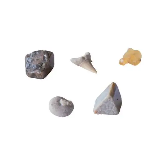 Thames & Kosmos I Dig It! Fossils: Real Fossils Excavation Kit {4}