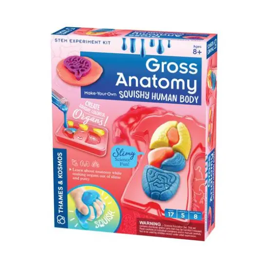 Thames & Kosmos Gross Anatomy: Make-Your-Own Squishy Human Body {3}